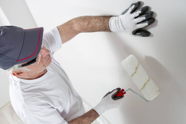 Dehumidification Services in St Jaco, IL