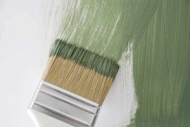 Best Basement Mold Removal  in St Jaco, IL