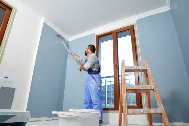 Best HVAC Mold Inspection and Cleaning  in St Jaco, IL