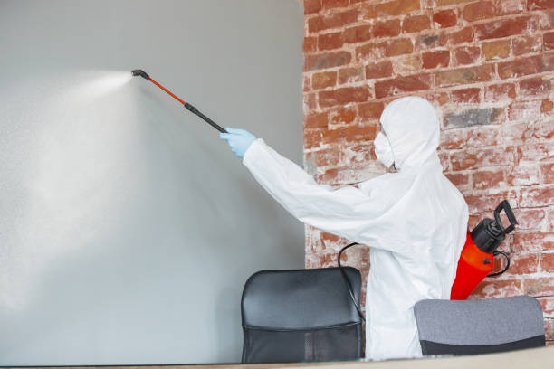 Best Biohazard Mold Removal  in St Jaco, IL