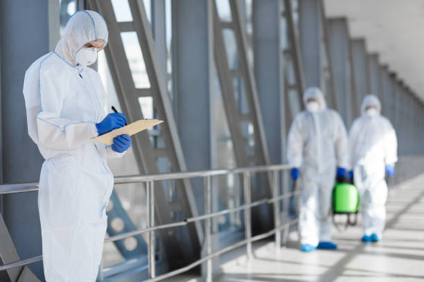 Mold Remediation for Vacation Homes in St Jaco, IL