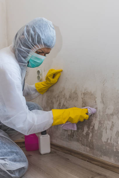 Best Air Quality Testing for Mold Spores  in St Jaco, IL