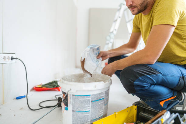 Reliable St Jaco, IL Mold Removal Solutions