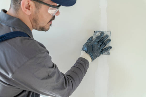 Best Mold Damage Restoration  in St Jaco, IL