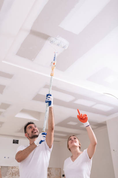 Best Attic Mold Removal  in St Jaco, IL