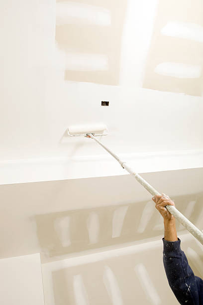 Best Mold Removal for HVAC Installations  in St Jaco, IL