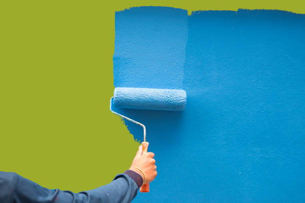 Best Mold Damage Restoration  in St Jaco, IL