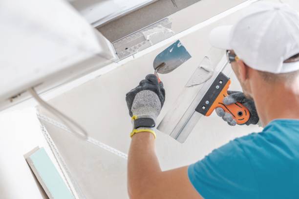 Best Residential Mold Inspection & Testing  in St Jaco, IL